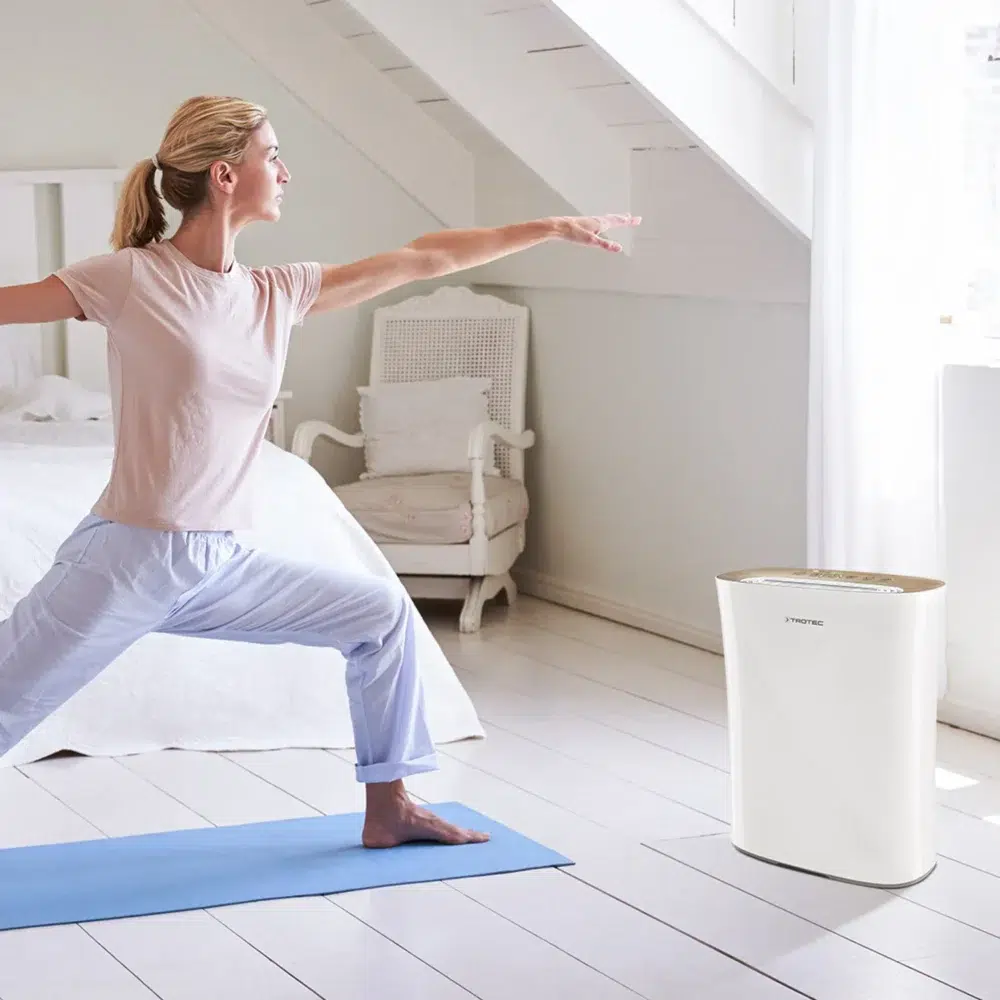 Design luftrenser airgoclean® 110 e 128840 1607332860