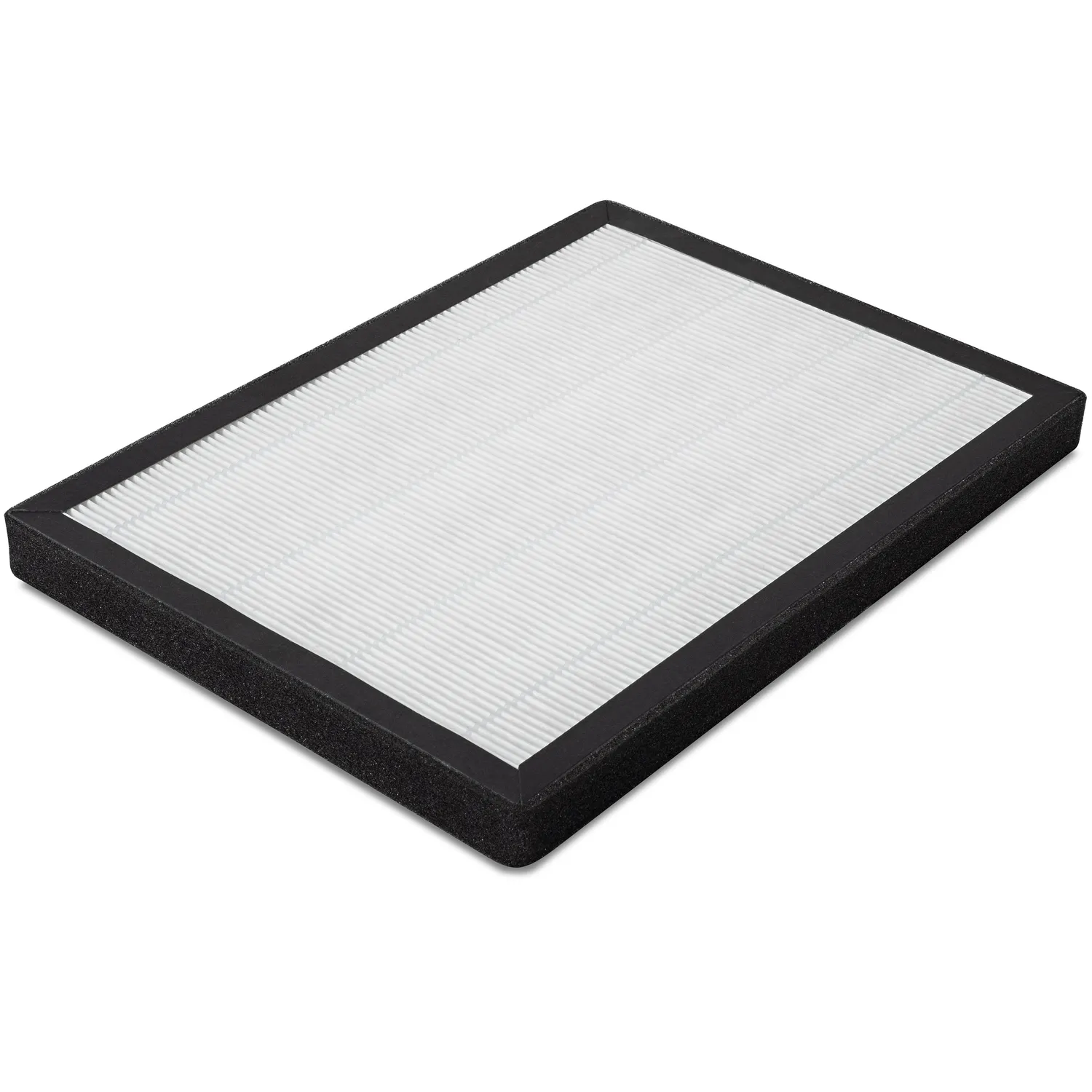 HEPA filter 99,97% filterydelse til AirgoClean 100 E 123984 1595343392