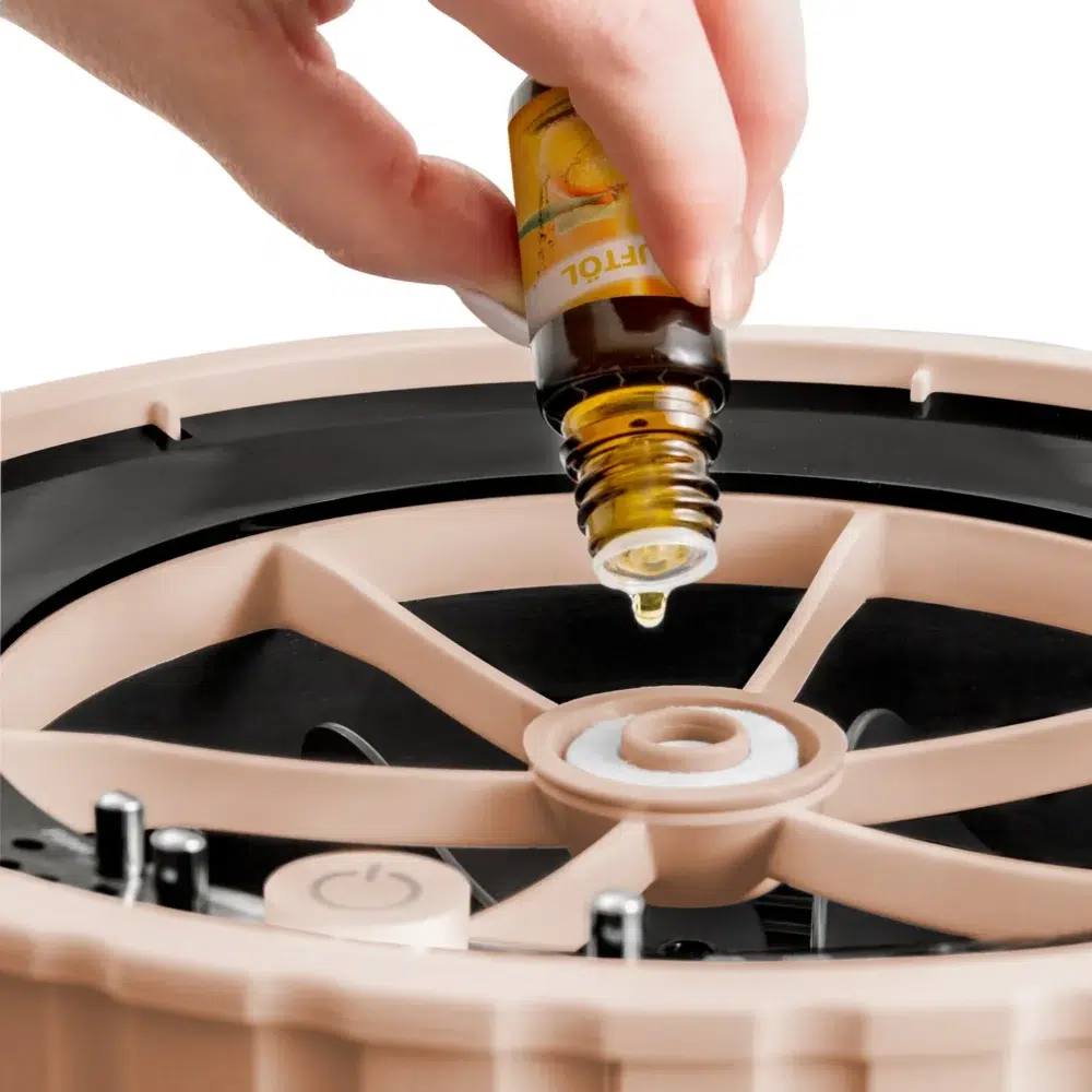 Trotec design-luftbefugter b 24 e Design luftbefugter b 24 e 92357 1528447100