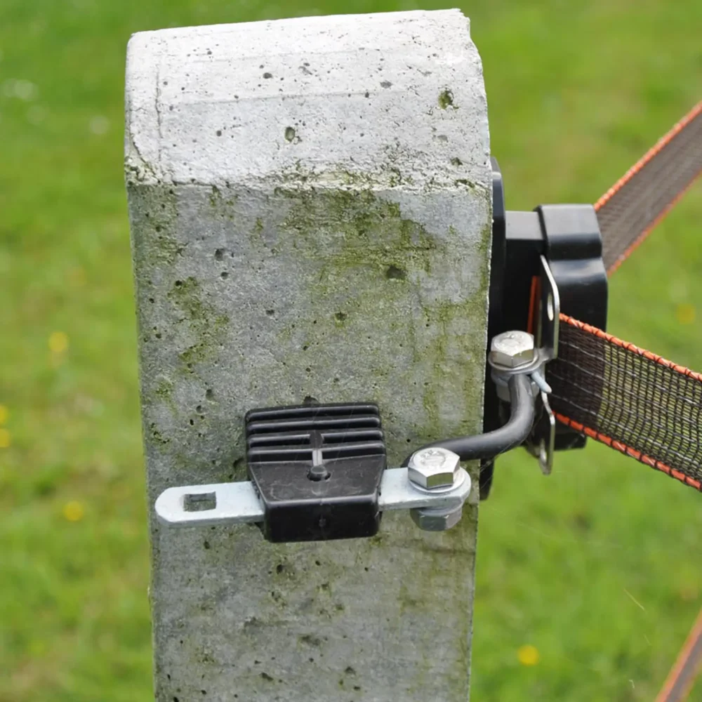 010905 3web. Webp 1920x1920