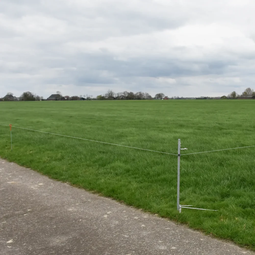 022014 4web. Webp 1920x1920