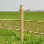 025527 5WEB.webp 800x800