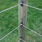 029013 2WEB.webp 800x800