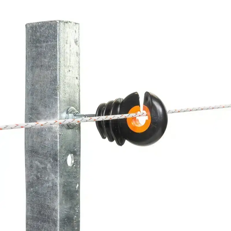 057795 1WEB.webp 800x800