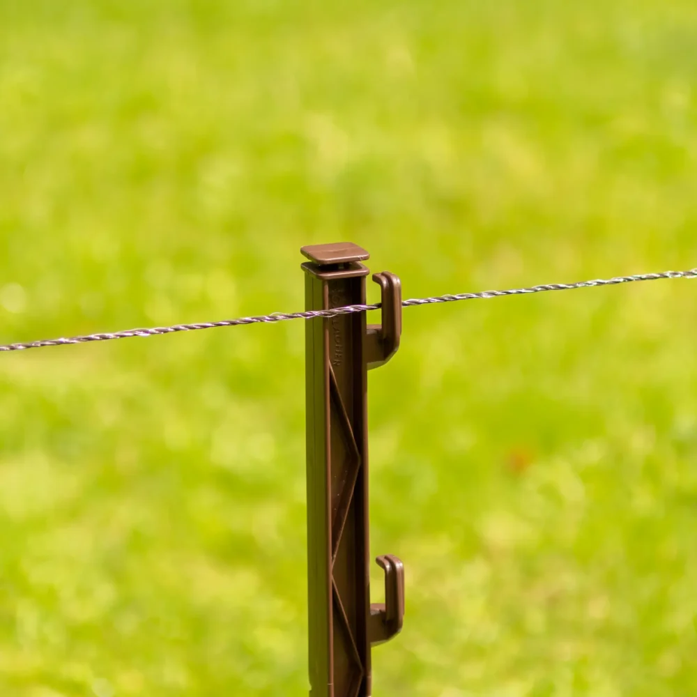 063970 3web. Webp 1920x1920