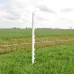 069330 3WEB.webp 800x800