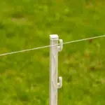 069330 5WEB.webp 800x800