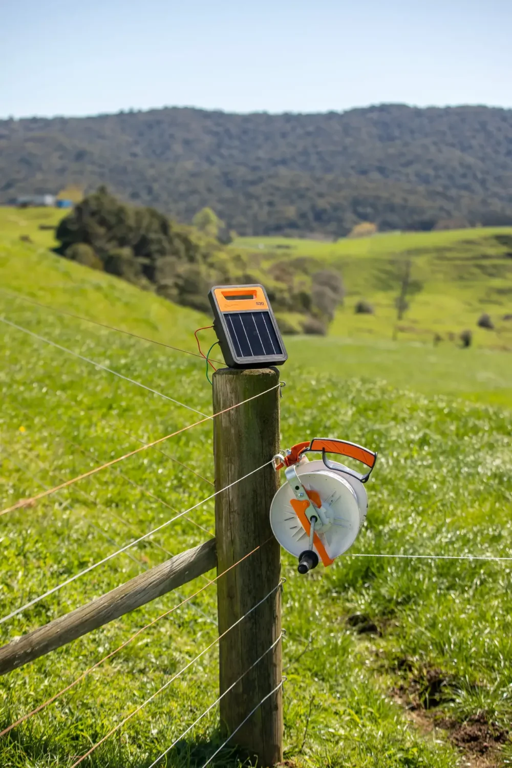 350325 11web. Webp 1920x1920