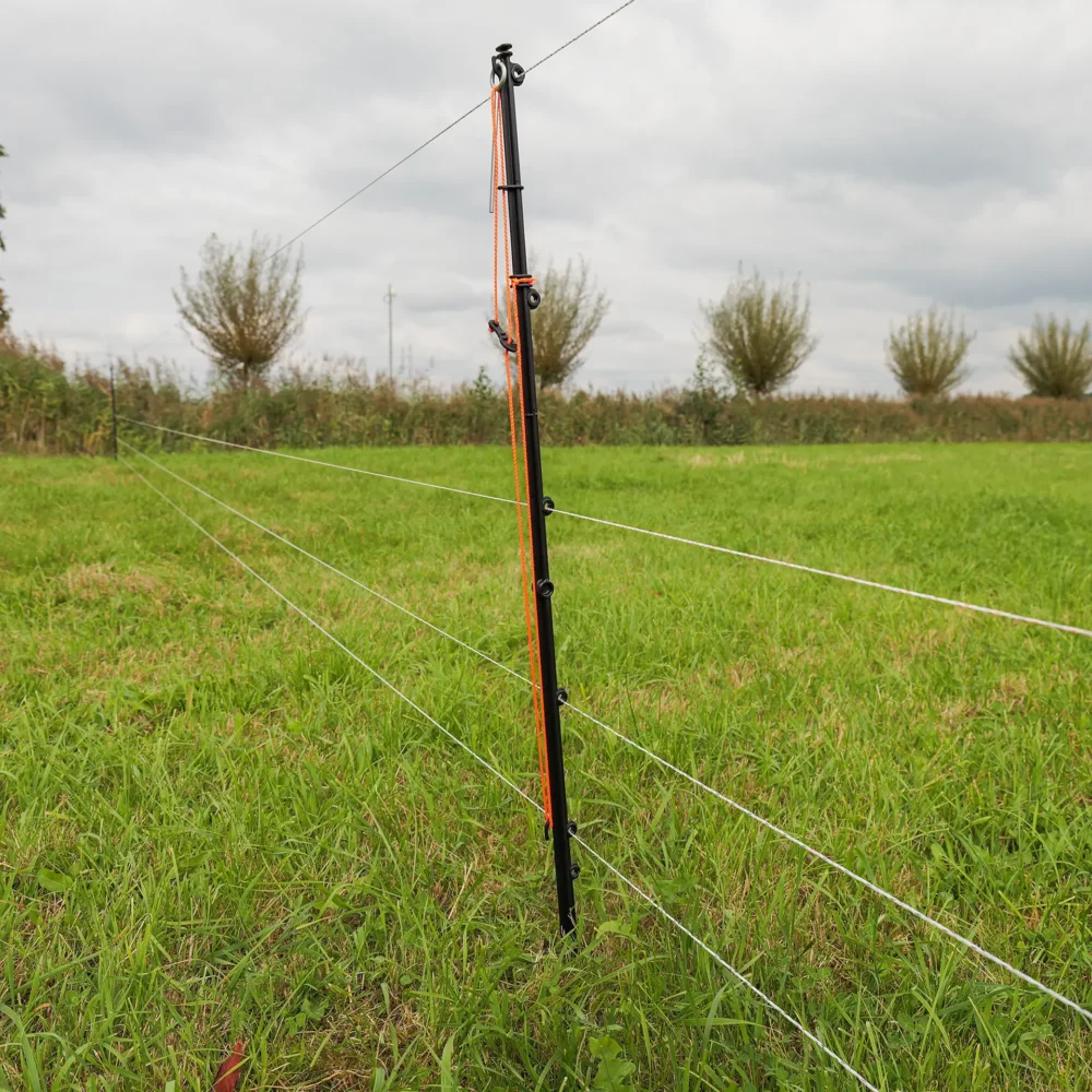 700007 7web 1920x1920