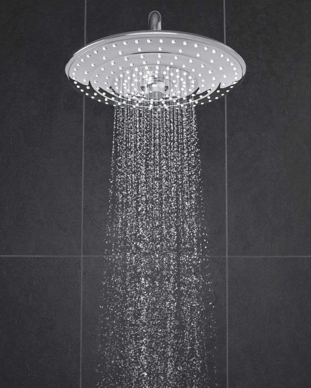 Grohe euphoria brusehoved, ø26 cm, krom1