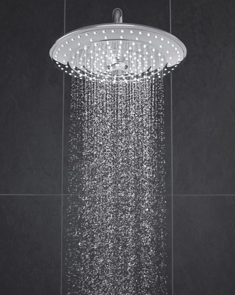 Grohe euphoria brusehoved, ø26 cm, krom2