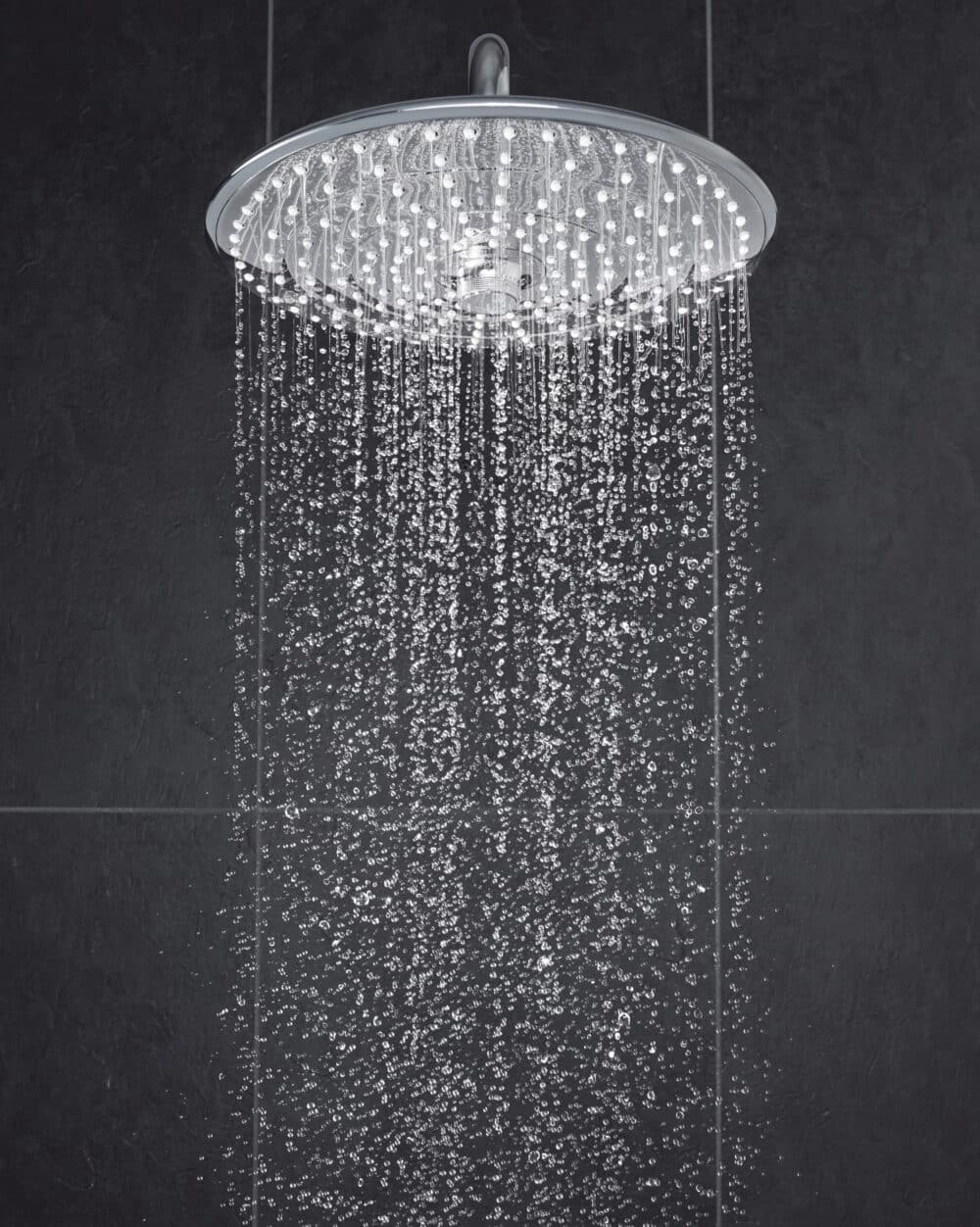 Grohe euphoria brusehoved, ø26 cm, krom3
