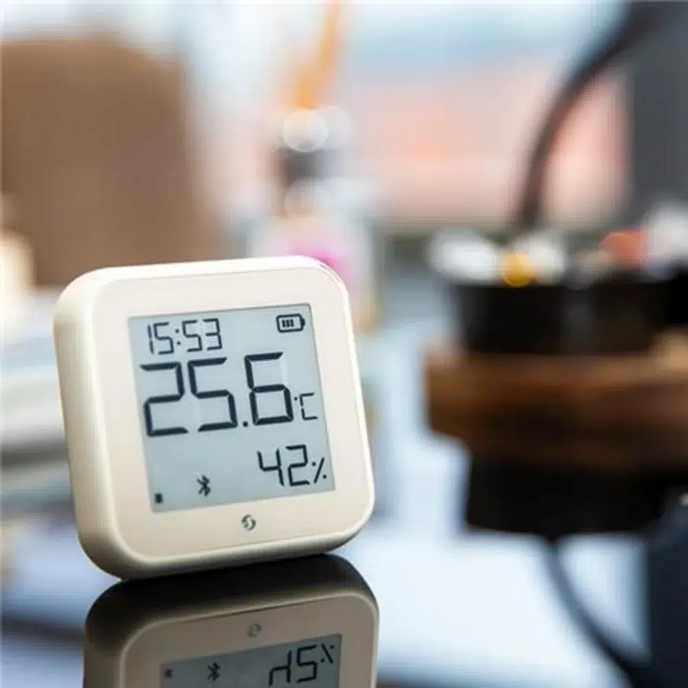 Shelly h&t, ivory (gen 3)1