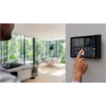 SHELLY WALL DISPLAY XL BLACK2
