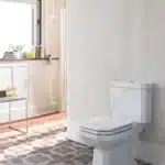 Duravit 1930 Toiletsde Soft (3)