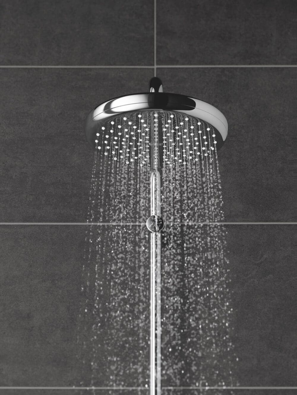 Grohe tempesta 210 hovedbruser 1 spray. Krom