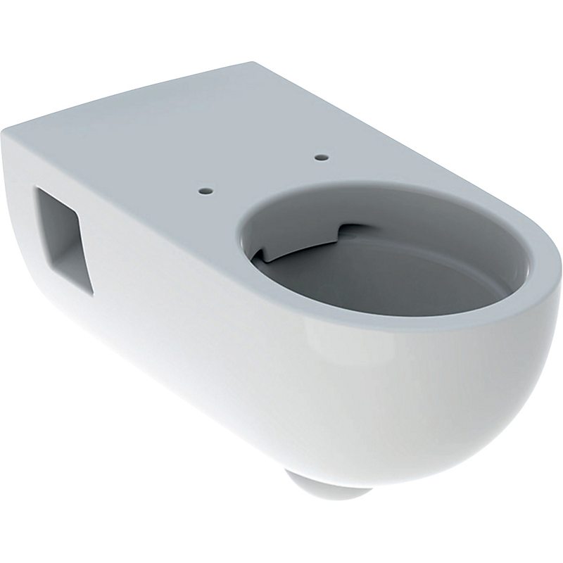 GEBERIT Renova comfort hængetoiletskål 355x700x345mm t/indb.cist hvid