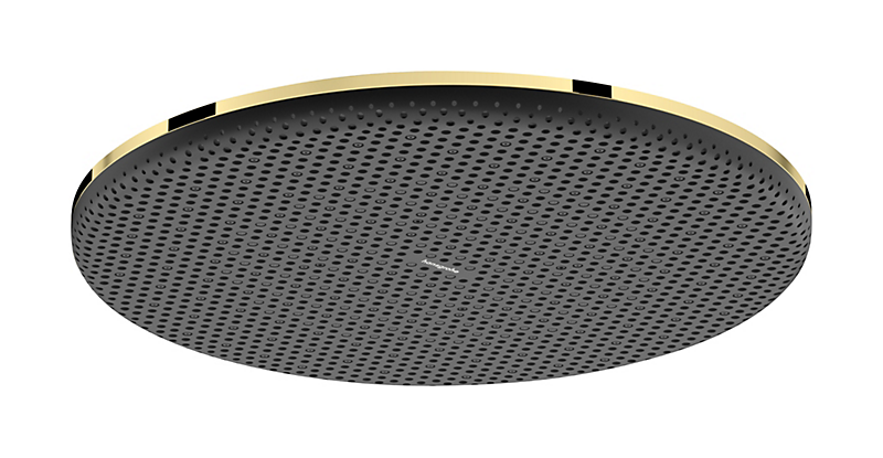 hansgrohe Raindance Alive S Hovedbruser 300 1jet pol guld-optik PVD