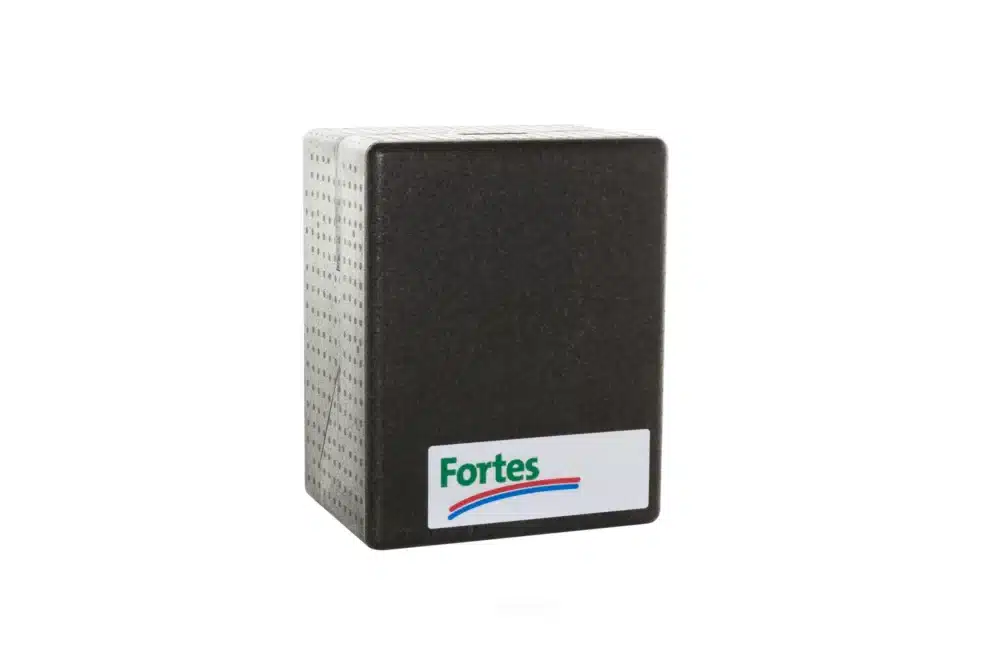 Fortes energy homeheat vv-1 / t